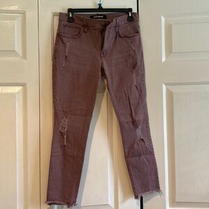 Express Ankle Length Skinny Jean